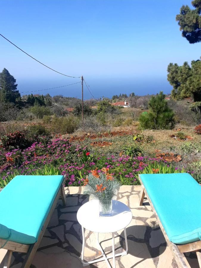 Casa Flor Azul Βίλα Las Tricias Εξωτερικό φωτογραφία