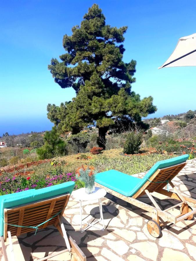 Casa Flor Azul Βίλα Las Tricias Εξωτερικό φωτογραφία